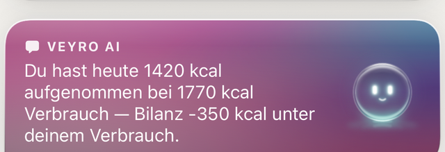 KI-Bilanz-Hinweis